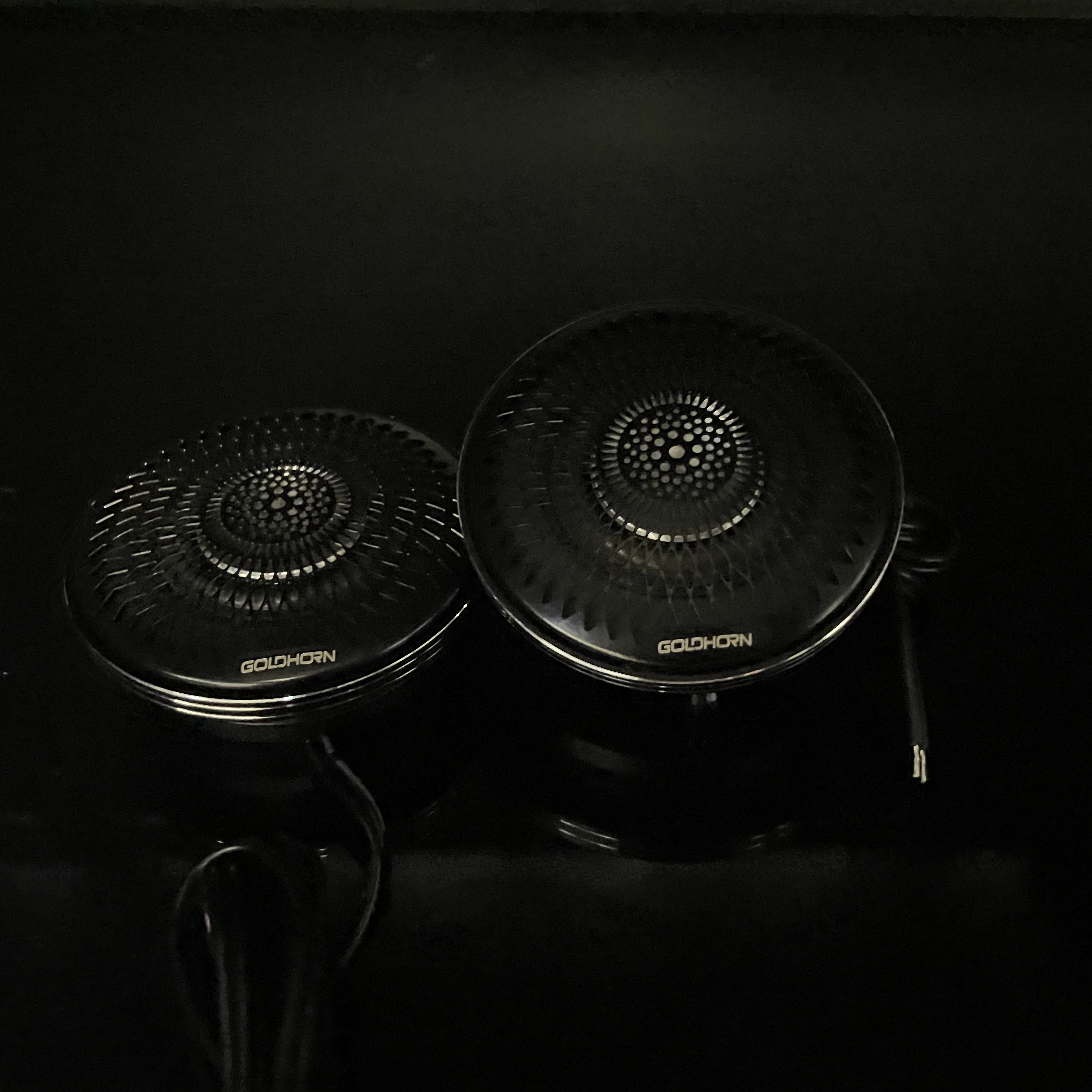 Goldhorn Skyatom Speaker - Celest TS1